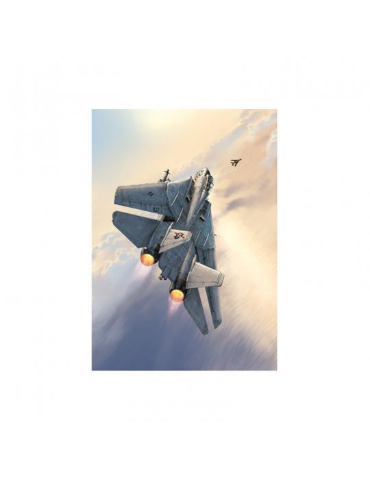 POSTER TOMCAT 41 GRAND FORMAT 50 X 70 CM ROMAIN HUGAULT