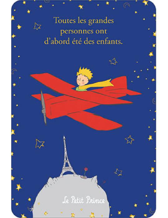 CARTE LE PETIT PRINCE  AVION PARIS TOUTES LES GRANDES PERSONNES ONT D'ABORD ETE DES ENFANTS 10 x 15 cm